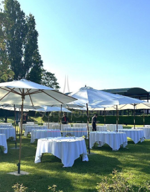 Parasol